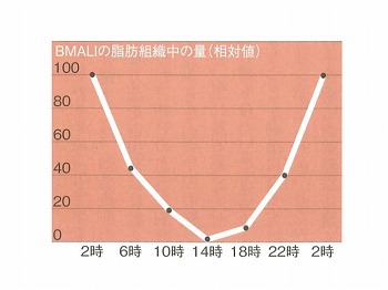 ダイエット4